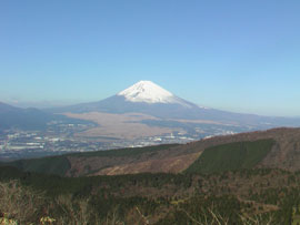 f0204440_271995.jpg
