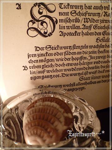 f0142141_047115.jpg