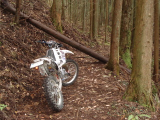 e0170546_20143835.jpg