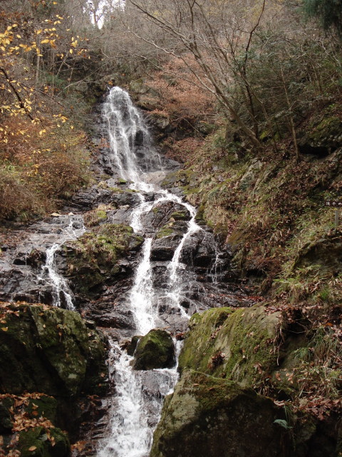 e0170546_201673.jpg