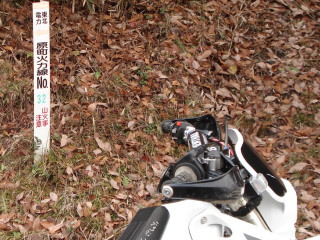 e0170546_2063095.jpg