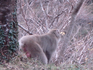 e0170546_2116626.jpg