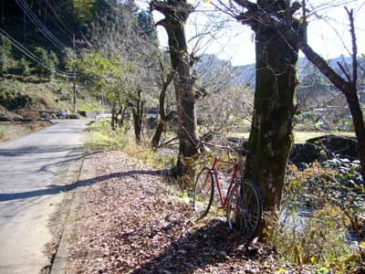 d0014748_16153115.jpg