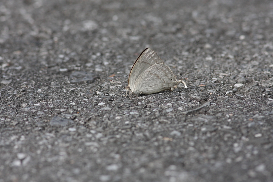a0094850_7502117.jpg