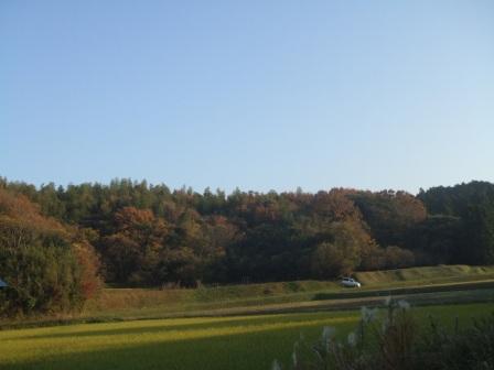 d0118050_2132441.jpg