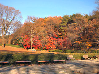 a0075051_20243031.jpg