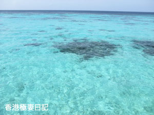 f0190653_8512468.jpg