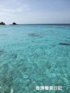 f0190653_8513532.jpg