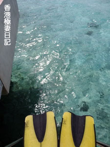 f0190653_8514523.jpg