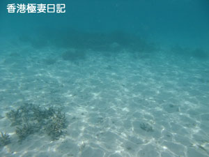 f0190653_8515796.jpg