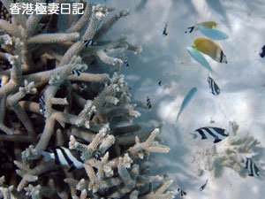f0190653_85217100.jpg
