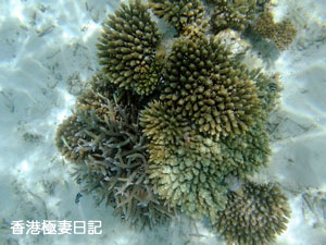f0190653_852757.jpg