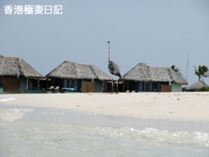 f0190653_8531331.jpg