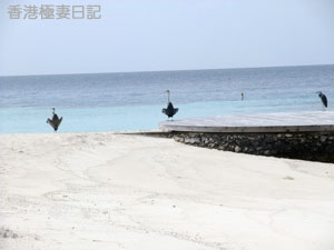 f0190653_8532461.jpg