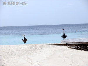 f0190653_8533573.jpg