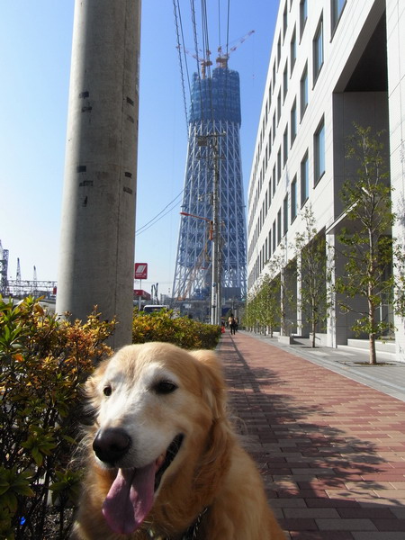 b0071654_10101363.jpg