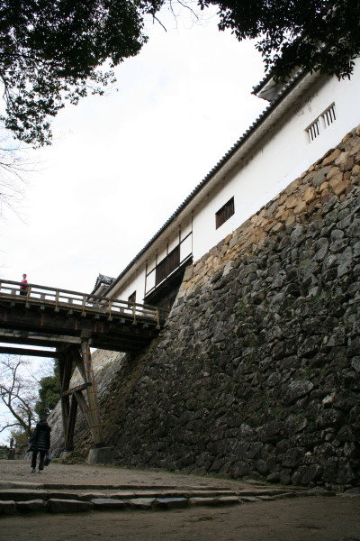 b0092958_725493.jpg