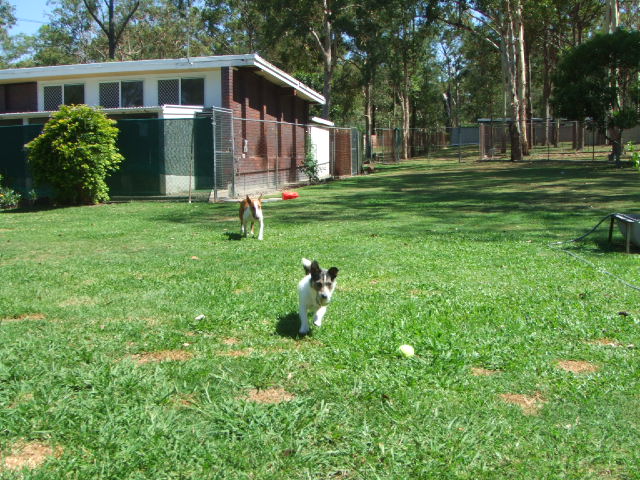 e0171460_19381258.jpg