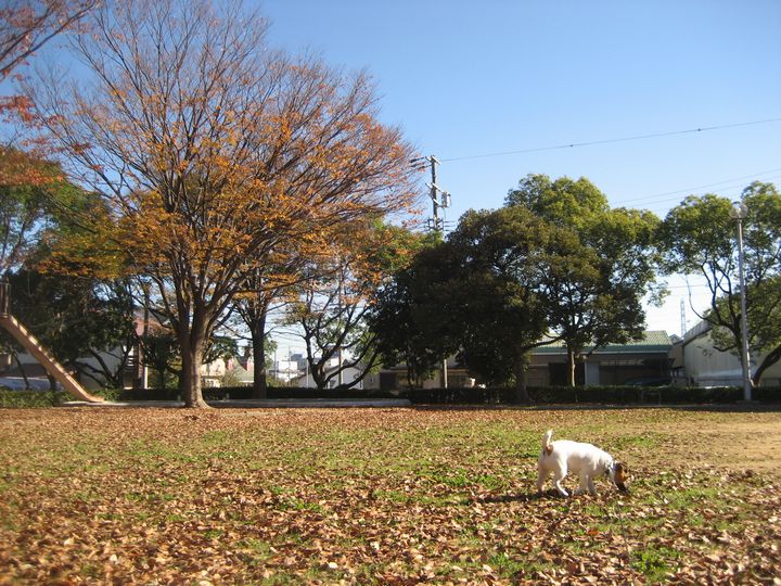 f0100871_21405044.jpg