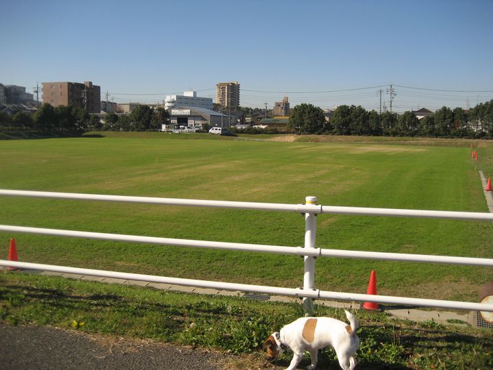 f0100871_21483068.jpg