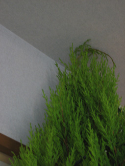 e0135073_15215597.jpg