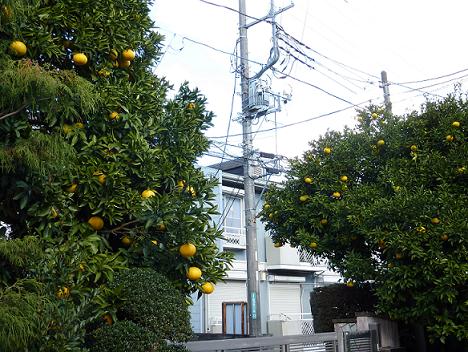 c0189388_1741649.jpg