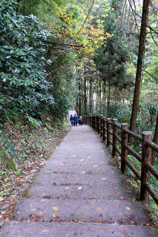 a0049090_22405067.jpg