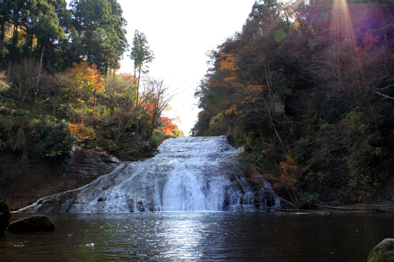 a0049090_22501931.jpg