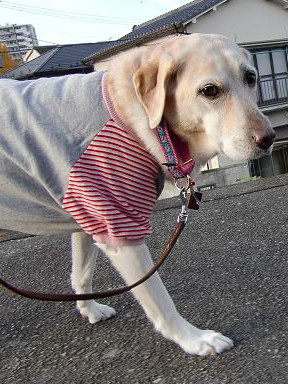 c0028792_22302019.jpg