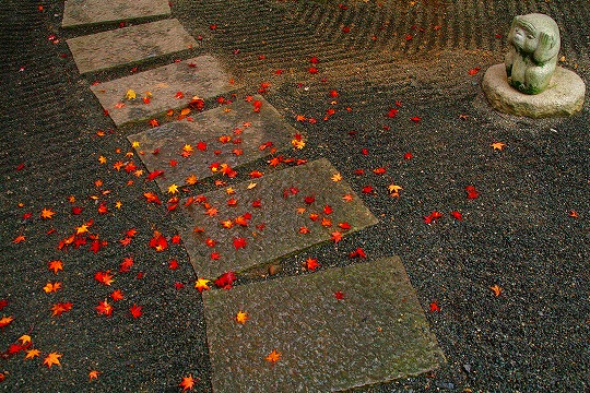 e0176993_1032029.jpg