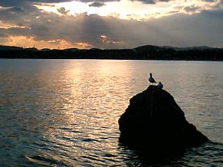 b0029694_19122964.jpg