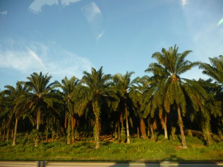 d0090300_1454672.jpg