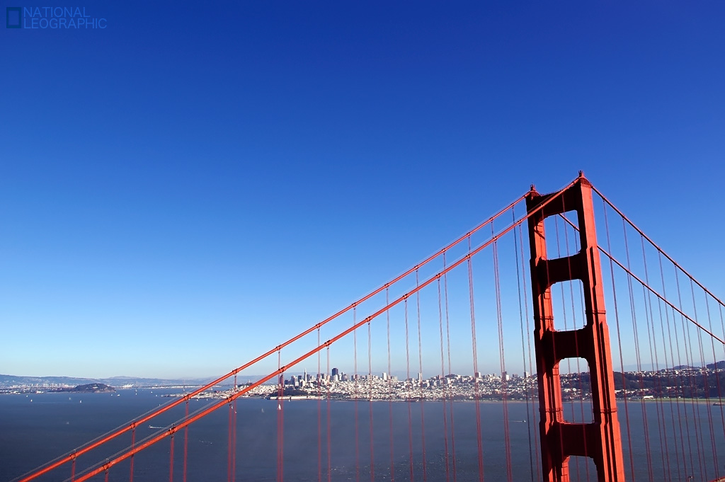 c0080101_8334761.jpg