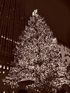 c0037103_13324696.jpg