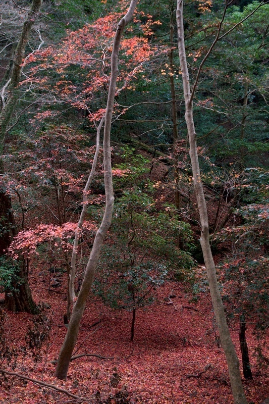 c0043403_2341587.jpg