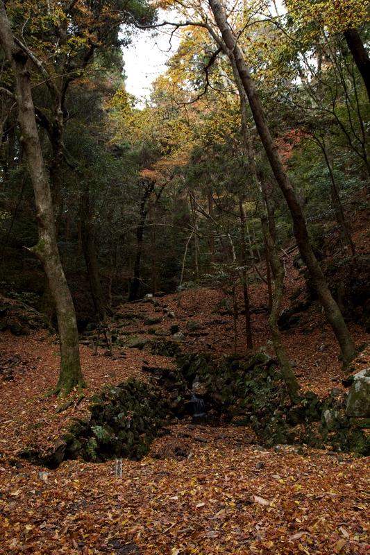 c0043403_235161.jpg