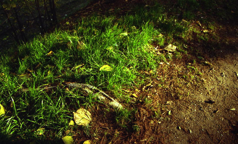 d0071507_18461940.jpg