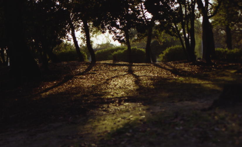 d0071507_519332.jpg