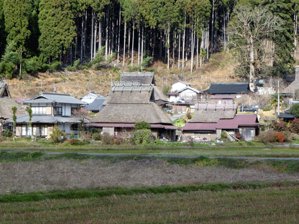 b0159611_239048.gif