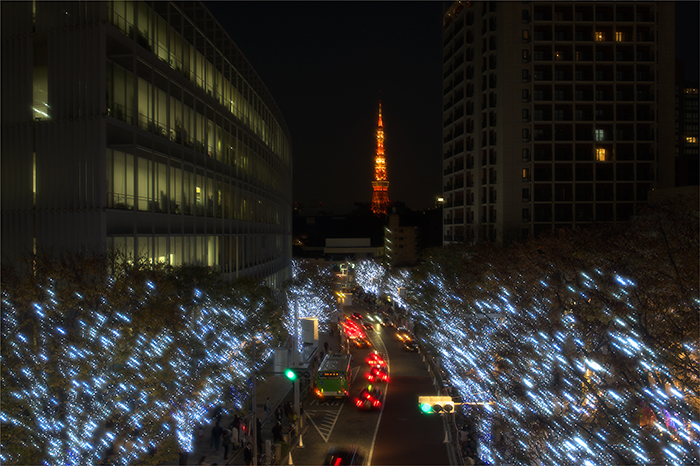 f0014815_21144266.jpg