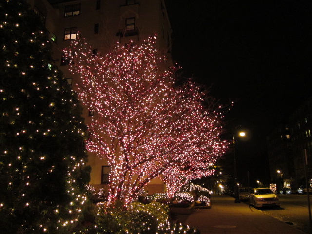 c0120817_1417129.jpg