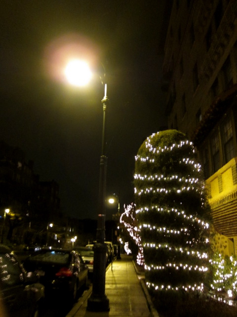 c0120817_14172268.jpg