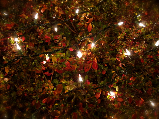 c0120817_14174579.jpg