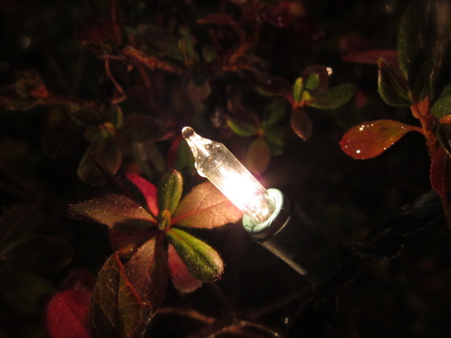 c0120817_1418437.jpg