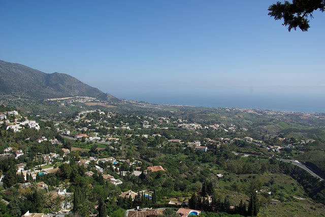 e0184921_8395897.jpg