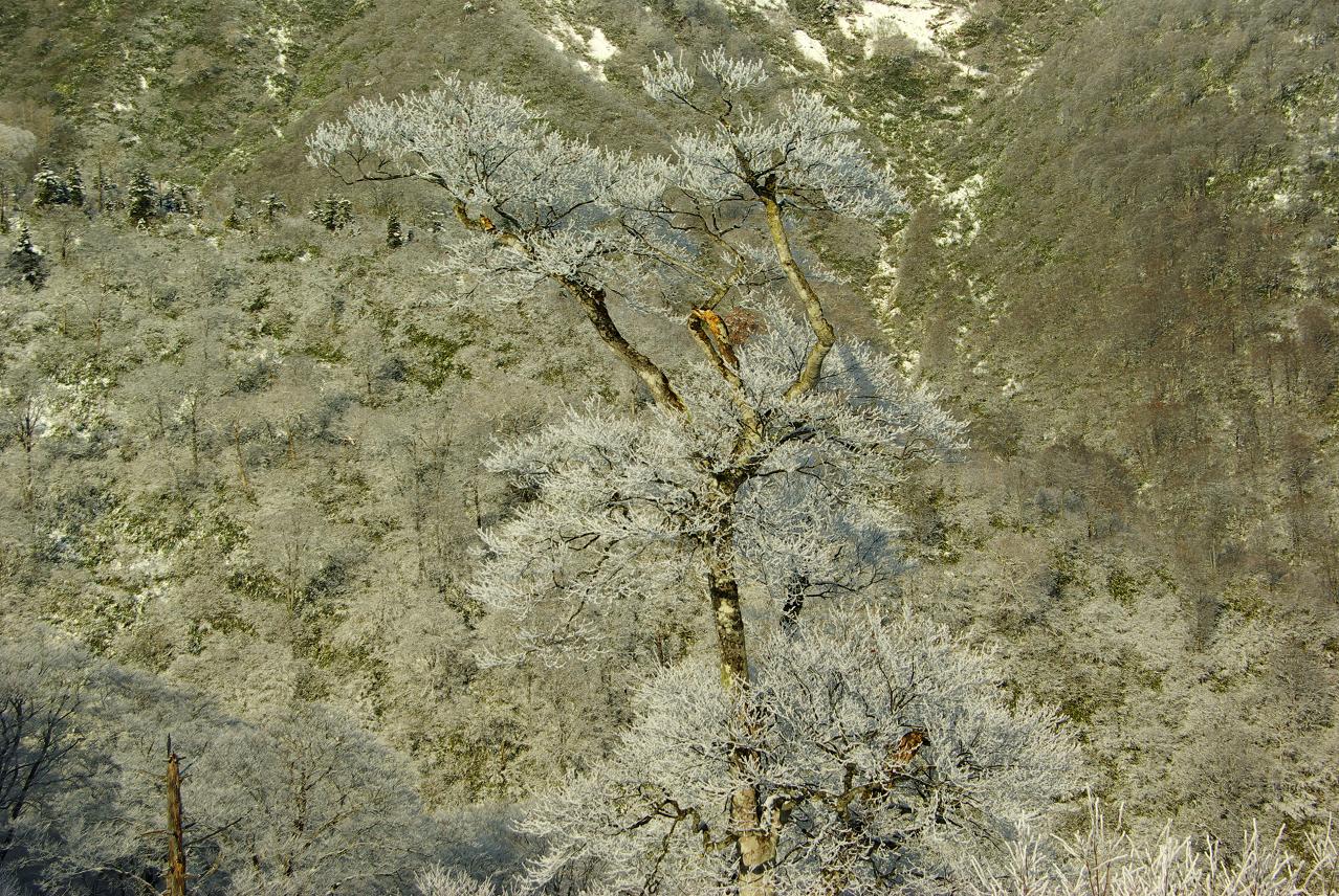 b0062024_155535.jpg