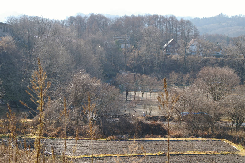 e0136424_11361727.jpg