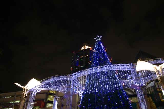 c0221125_353727.jpg