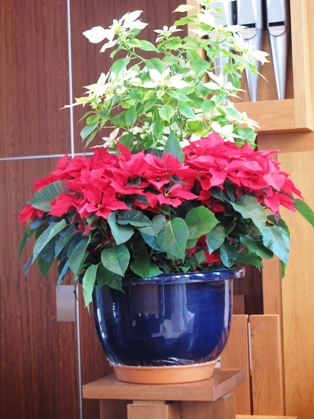 c0139527_23403078.jpg