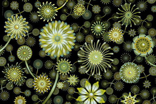 d0042827_21583397.jpg